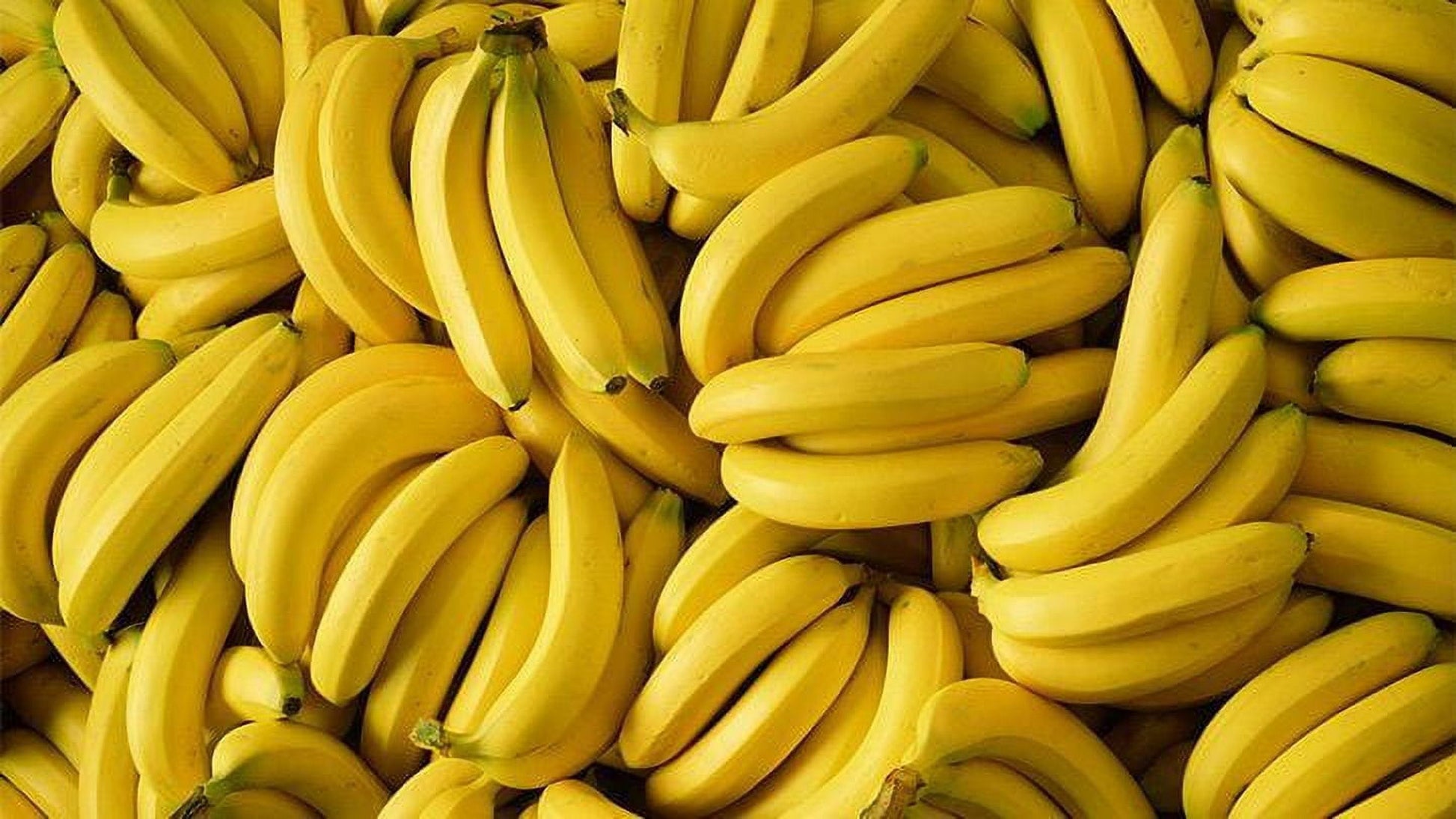 Fresh Organic Bananas, Bunch
