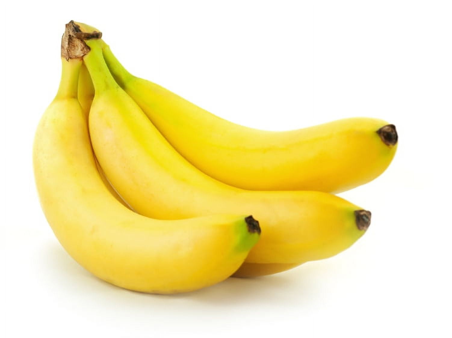 Fresh Organic Bananas, Bunch
