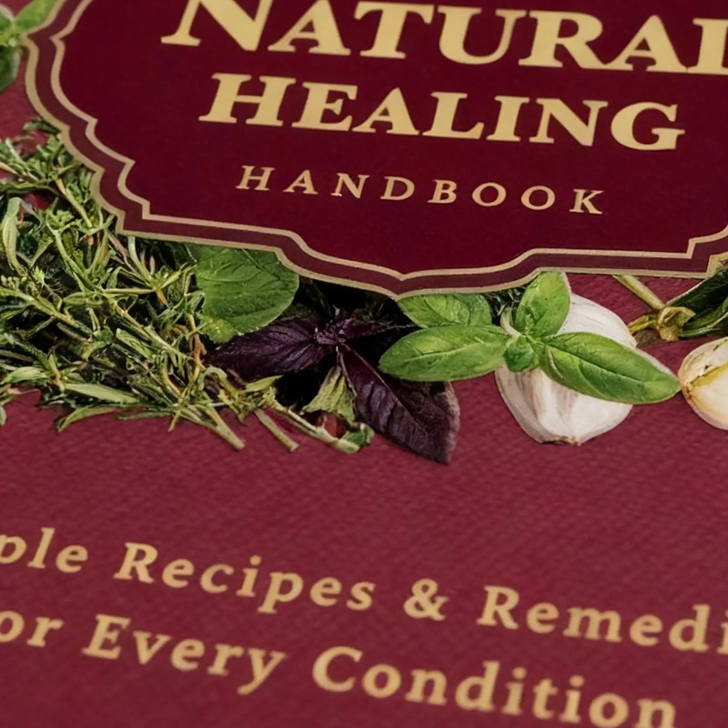 250X176X10Mm Human Health Guide Book Plant Theme Eating Recipe Spiral Binding Natural Book for Family Adult Elderly Chef Study