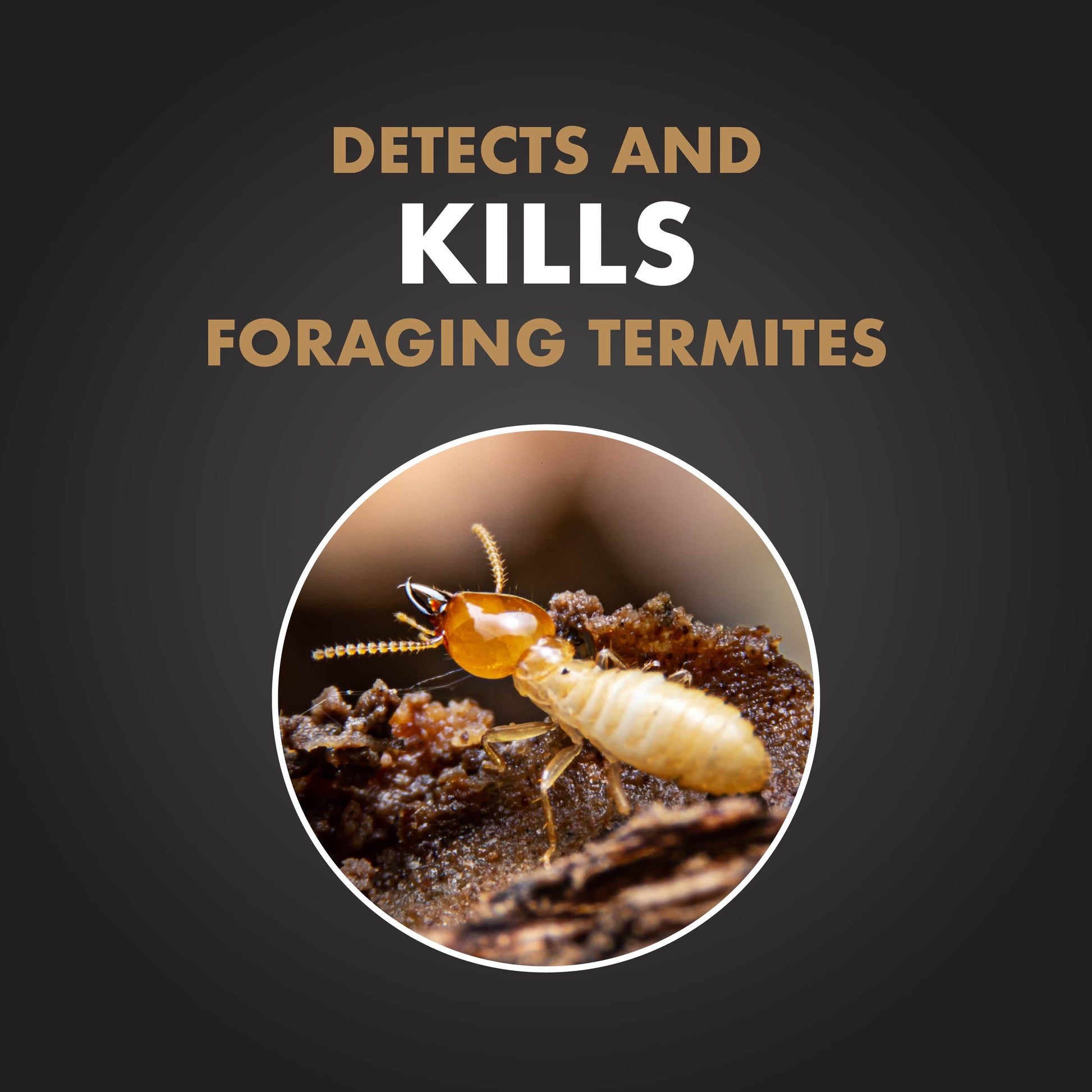 Terminate Termite Detection and Killing Stakes with Pop-Up Indicator, 15 Count