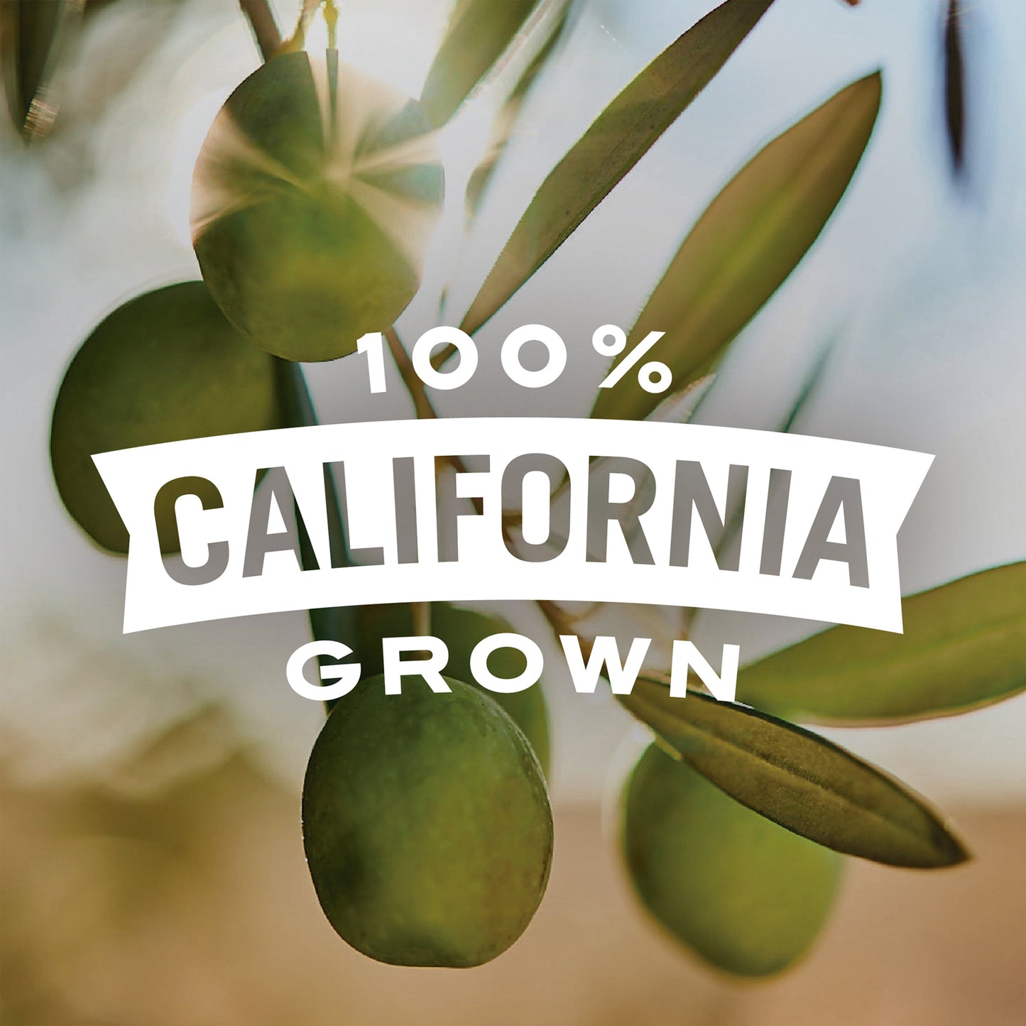Pearls Black Pitted Large California Ripe Olives, 4 Pack, 1.2 Oz. Cup. Major Allergens Not Contained.