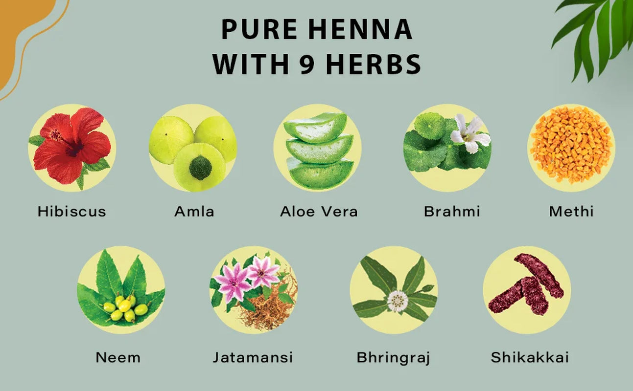 (2 Pack)  100% Natural Pure Henna with 9 Herbs for Hair, Chemical Free Dye, Soft & Shiny Hair, 4.40 Oz